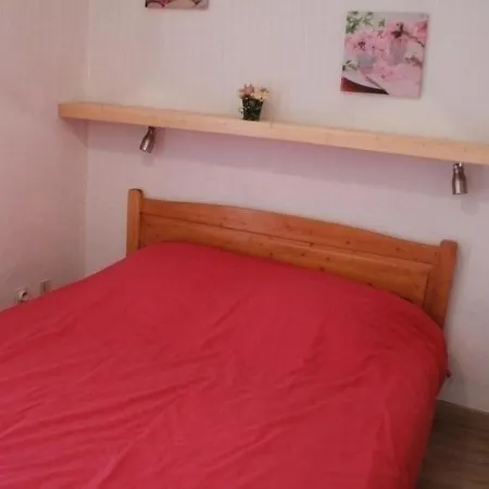 Chatel, 1 Piece, 3 Personnes - Fr-1-200-140 Apartment Chatel